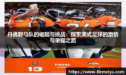 丹佛野马队的崛起与挑战：探索美式足球的激情与荣耀之路