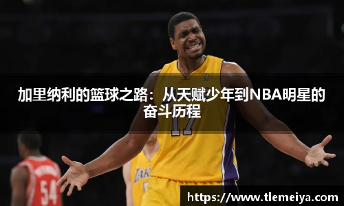 加里纳利的篮球之路：从天赋少年到NBA明星的奋斗历程