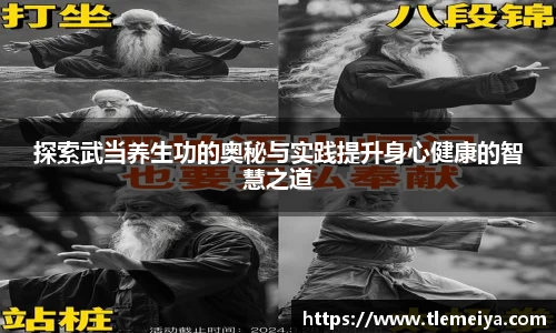 探索武当养生功的奥秘与实践提升身心健康的智慧之道